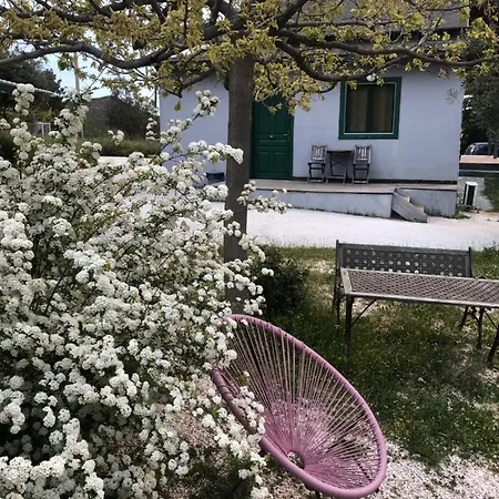 Olive Grove Guest House Anavyssos Exterior photo