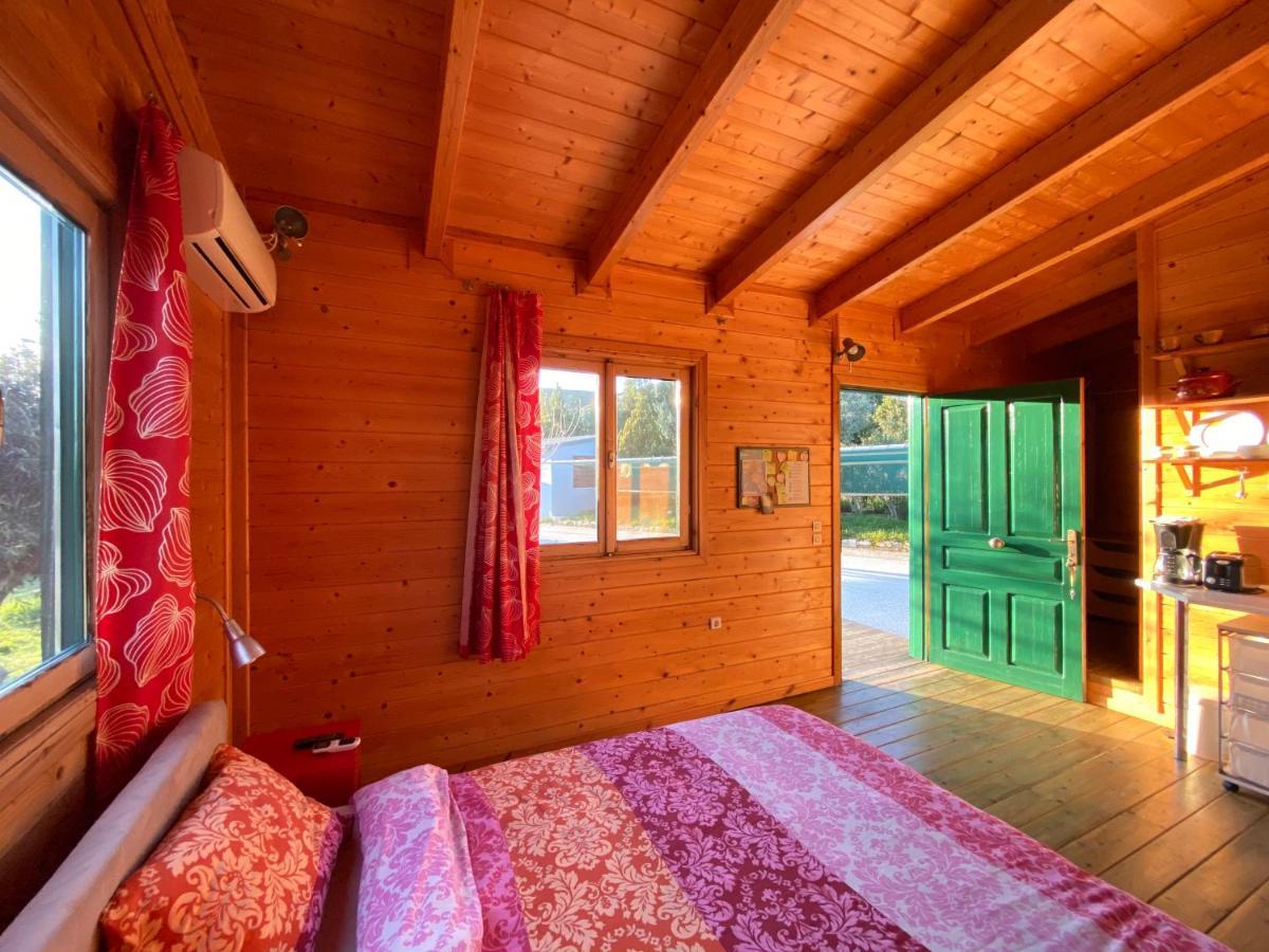 Olive Grove Country house *