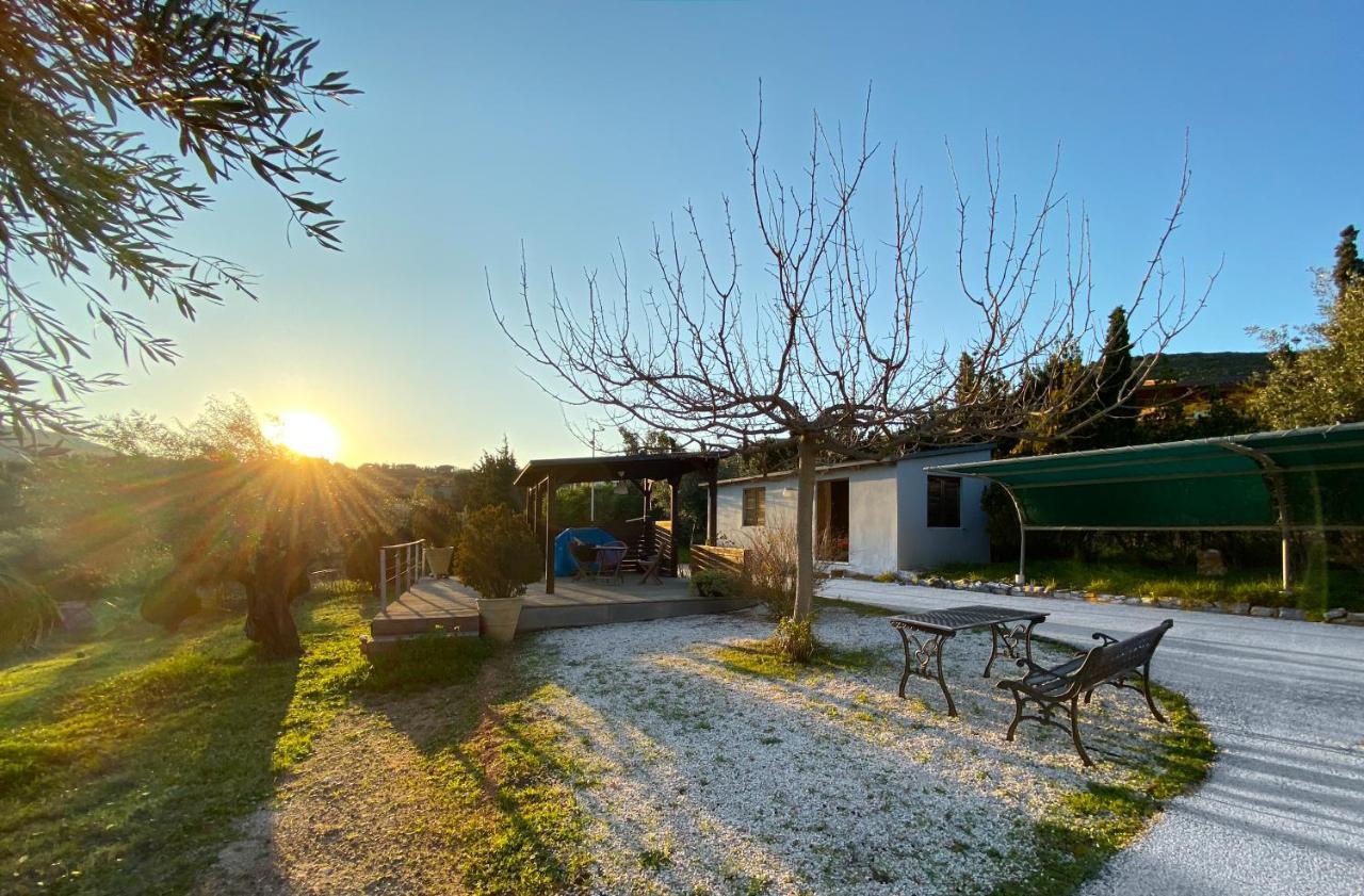 Olive Grove Country house Anavyssos