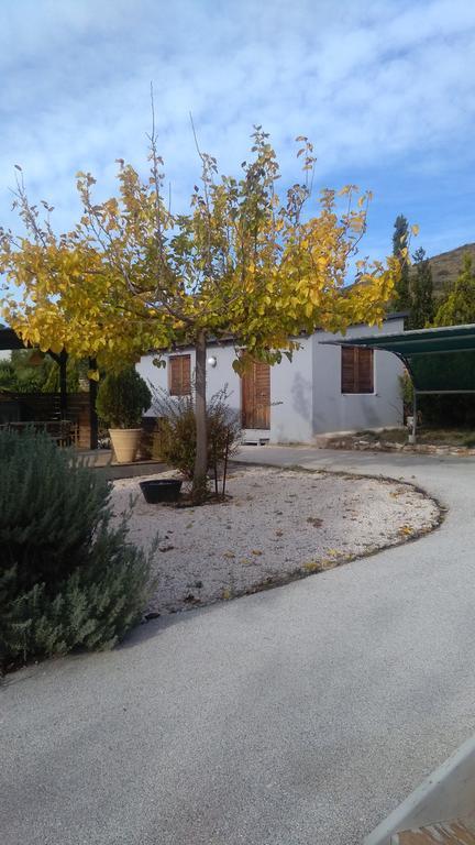 Country house Olive Grove