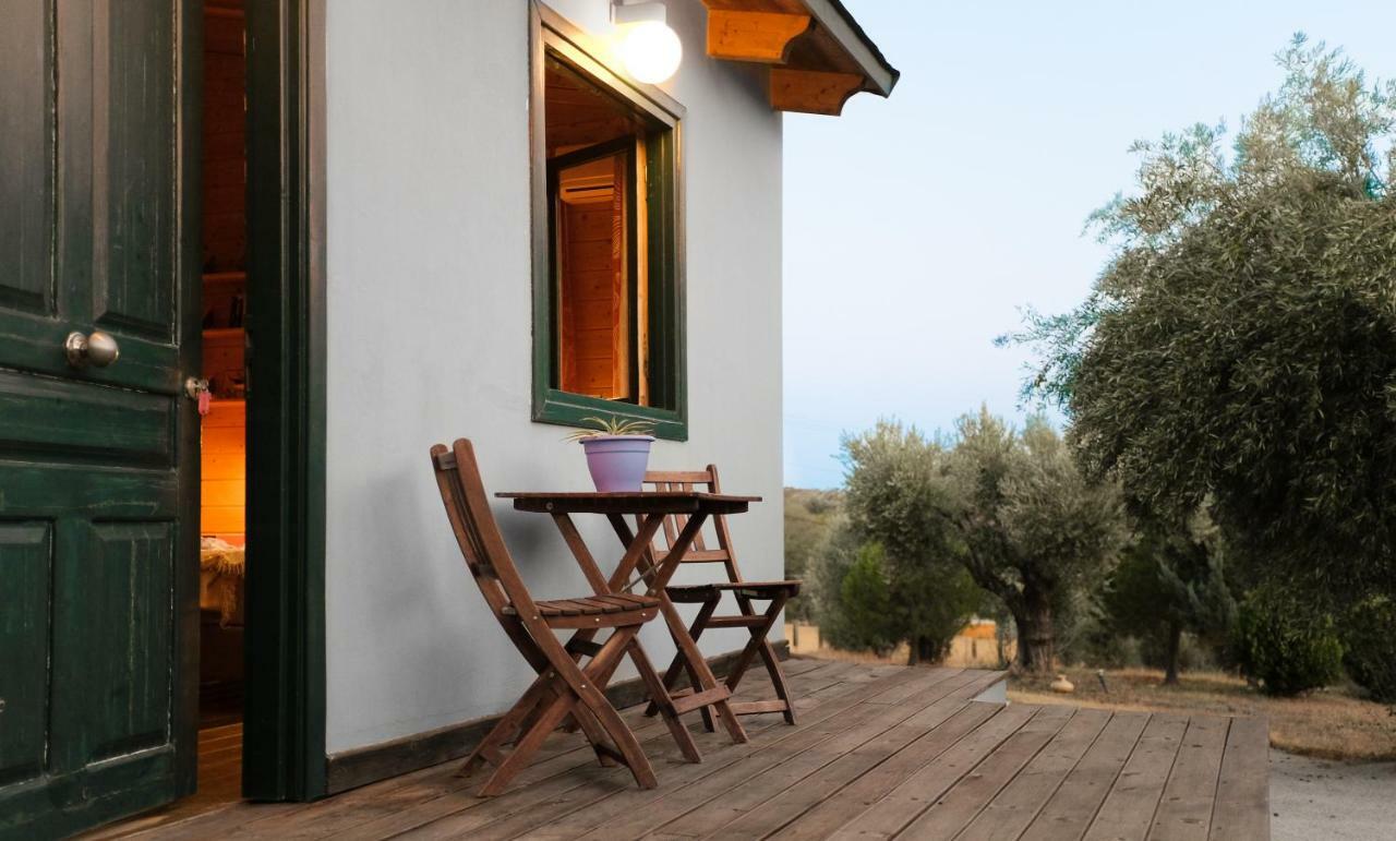Olive Grove *