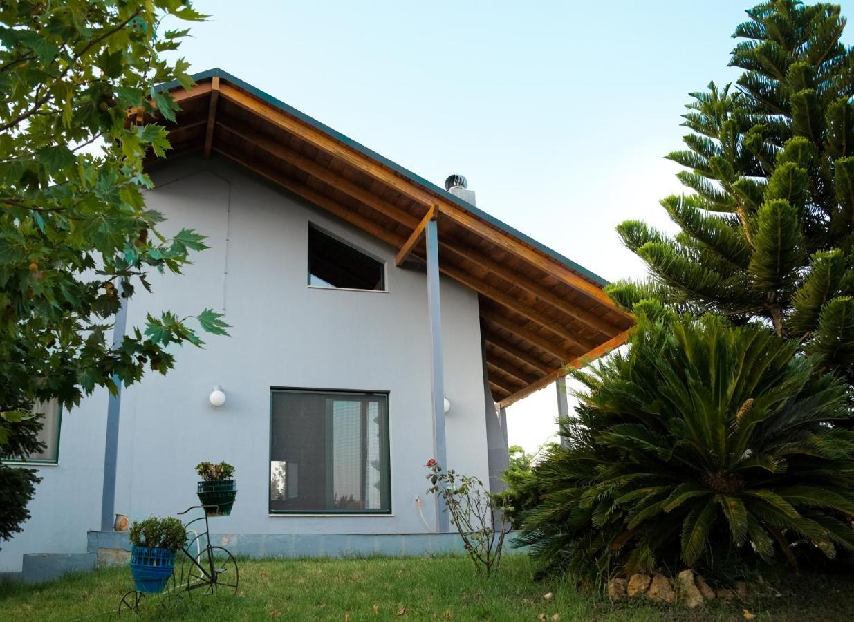 Country house Olive Grove Anavyssos